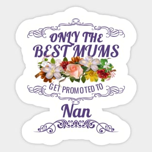 Only The Best Mums Get Promoted To Nan Gift From Son Or Daughter Sticker